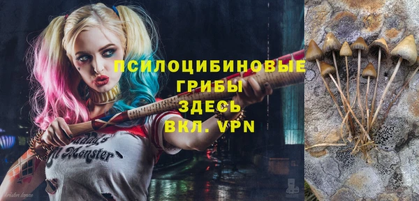 прущая мука Ладушкин