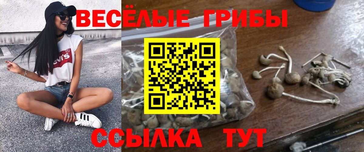 Галлюциногенные грибы Psilocybe  Галлюциногенные грибы GOLDEN TEACHER  Новый Уренгой  Вход с VPN 