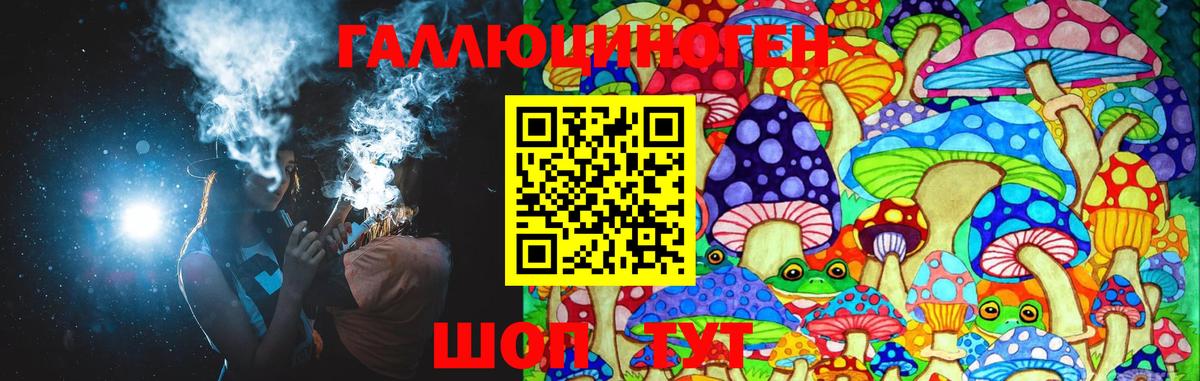 Псилоцибиновые грибы Psilocybe Новый Уренгой